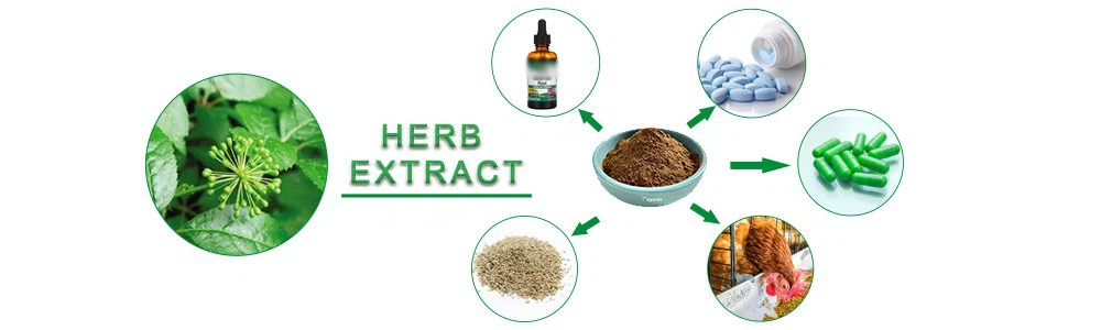 best Siberian Ginseng Extract Powder.png